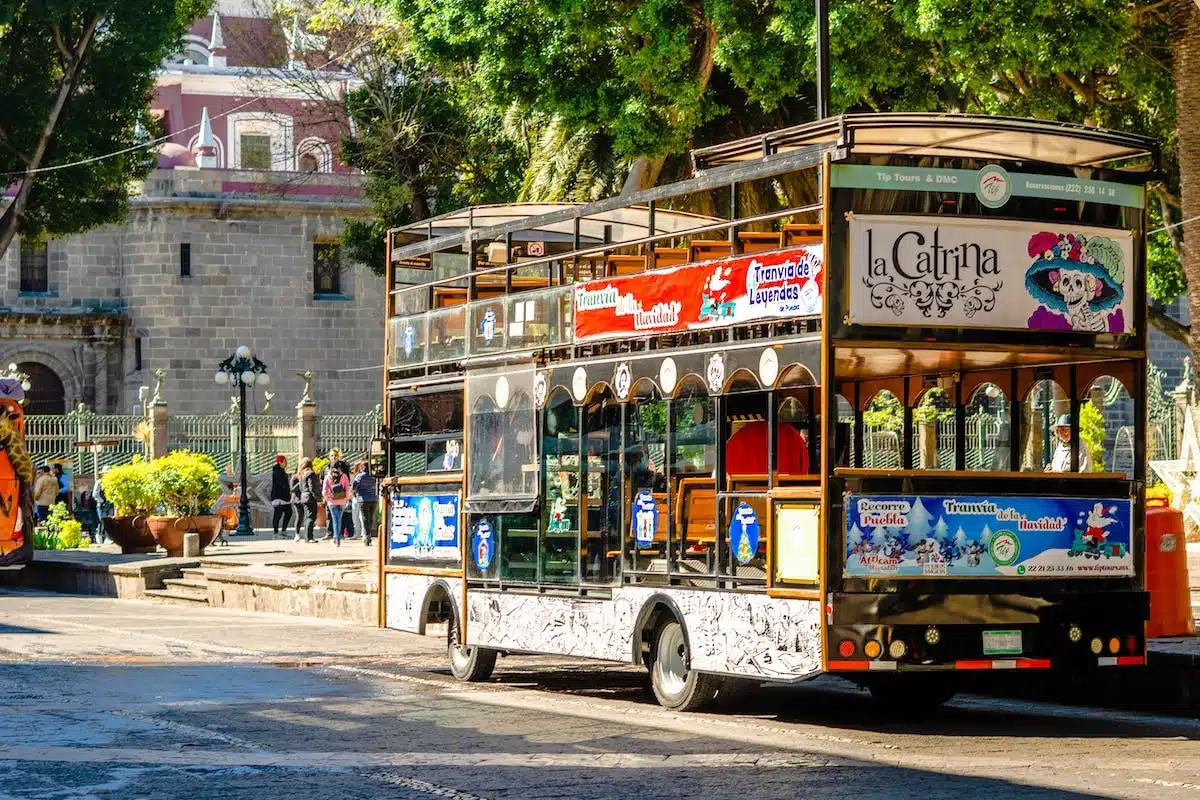 bus touristique