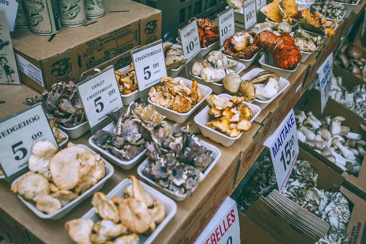 gastronomie  voyage