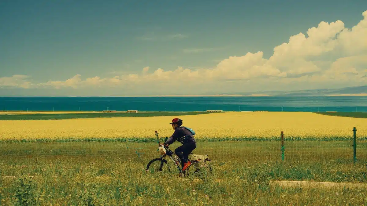 bicyclette  paysage