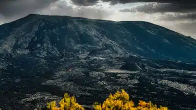 Découvrez l'île de la Réunion d'une manière exceptionnelle