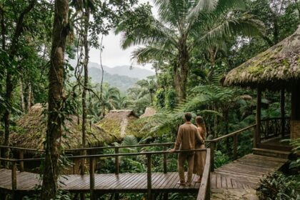 Couple se promenant sur une passerelle en bois au cœur d'une forêt tropicale, avec des bungalows en chaume d'un éco-lodge visibles entre les fougères et les palmiers