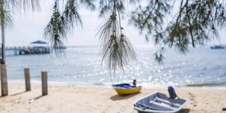 Ile de Ré : que voir et que faire lors d'un séjour ?