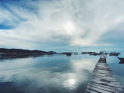 people walking on wooden dock under white clouds and blue sky during daytime