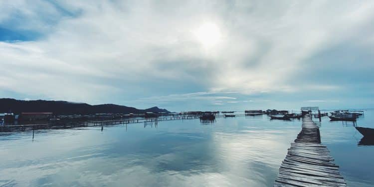 people walking on wooden dock under white clouds and blue sky during daytime