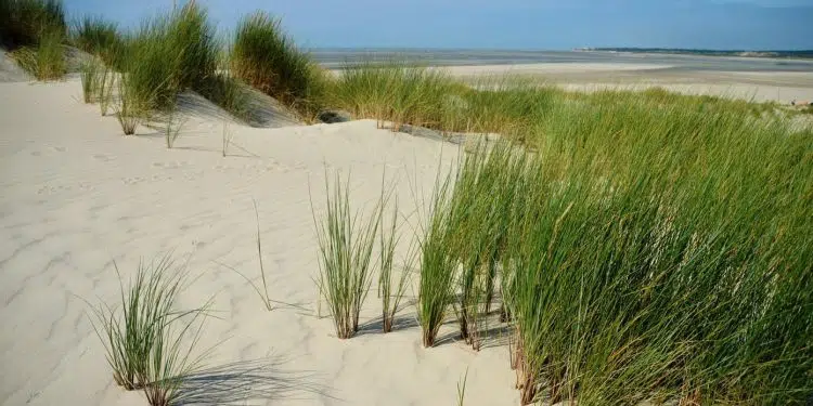 Les meilleures activités sont proposées à Calais !