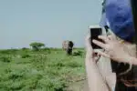 Plongez dans l'univers de la faune sauvage grâce à un circuit en Afrique du Sud
