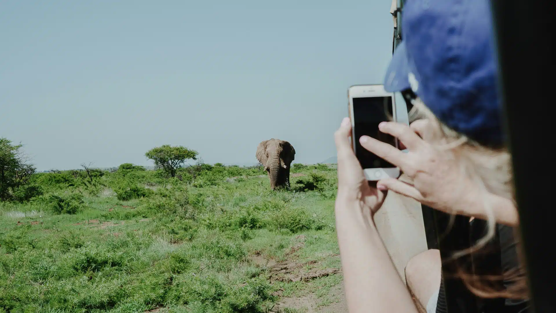 Plongez dans l'univers de la faune sauvage grâce à un circuit en Afrique du Sud